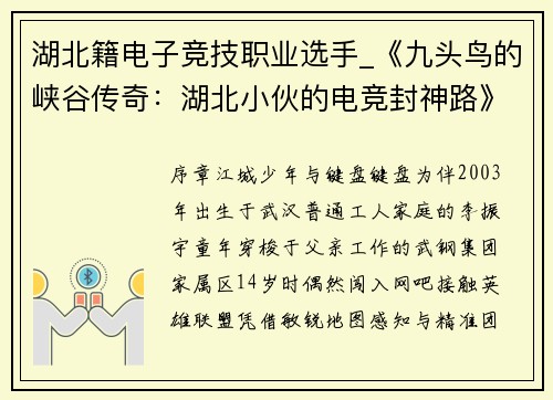 湖北籍电子竞技职业选手_《九头鸟的峡谷传奇：湖北小伙的电竞封神路》